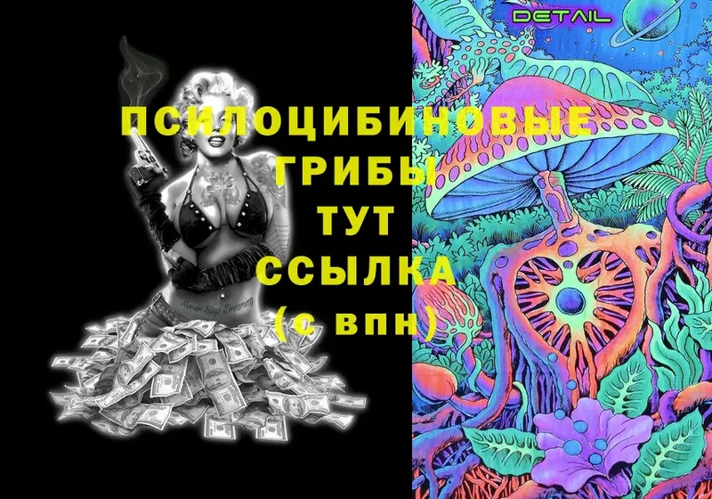 Галлюциногенные грибы прущие грибы  omg ТОР  Егорьевск 